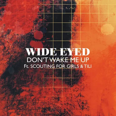 Don’t Wake Me Up