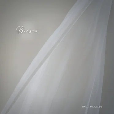 Brisa