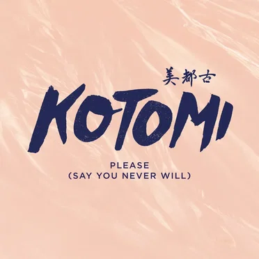 Please (Say You Never Will)