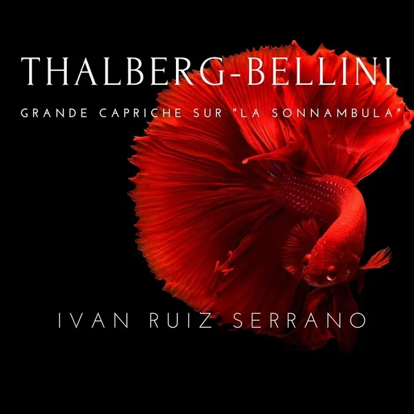 Grande Capriche Sur "La Sonnambula"