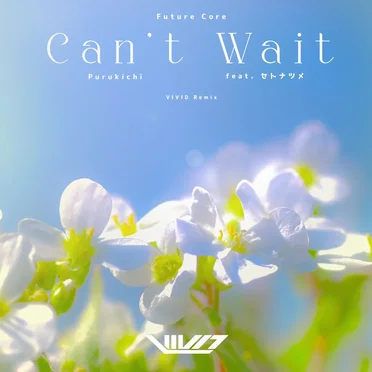 Can't Wait (VIVID remix) by VIVID - album cover