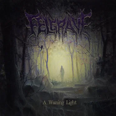 A Waning Light by Felgrave - album cover
