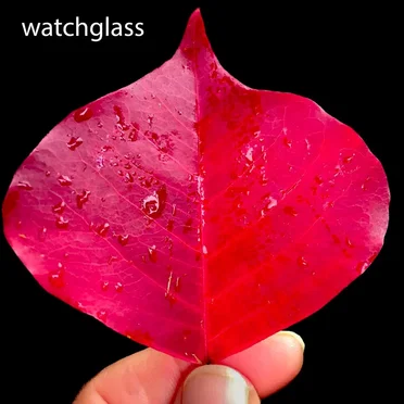 Watchglass by Watchglass - album cover