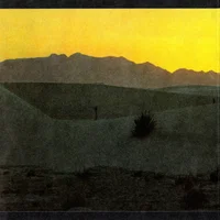 Marc Ribot artist image