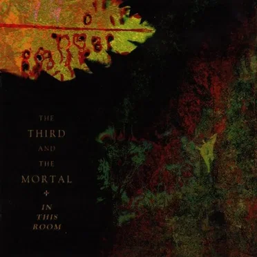 In This Room by The 3rd and the Mortal - album cover