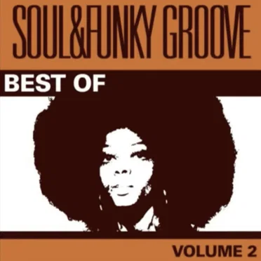 Best Of Soul & Funky Groove, Vol. 2 by Various Artists - album cover
