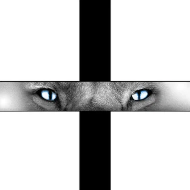 Beast by Coskun - album cover