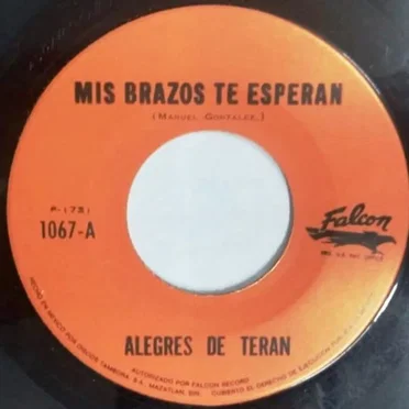 Mis brazos te esperan / Te busqué