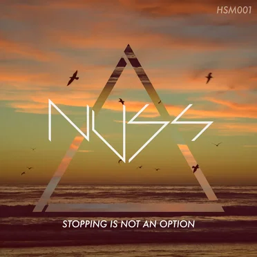 Stopping Is Not an Option