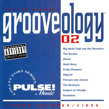 Grooveology 02: PulseMusic Sampler by Various Artists - album cover