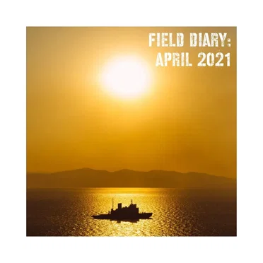 Field diary: April 2021 by Various Artists - album cover