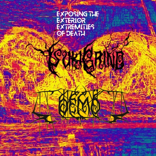 Exposing the Exterior Extremities of Death