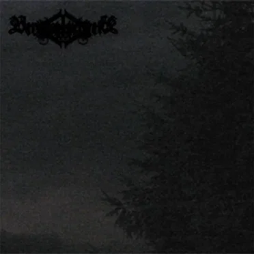 Nachtschwarz by Vergänglichkeit - album cover