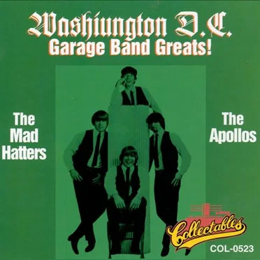 Washington D.C. Garage Band Greats! by Various Artists - album cover