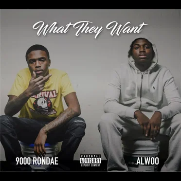 What They Want by 9000 Rondae - album cover