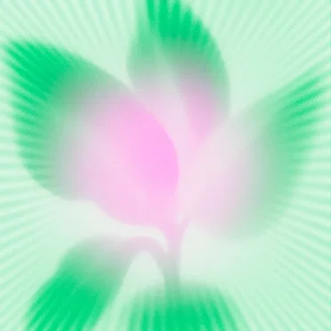 The Plant Spirits by United Freedom Collective - album cover