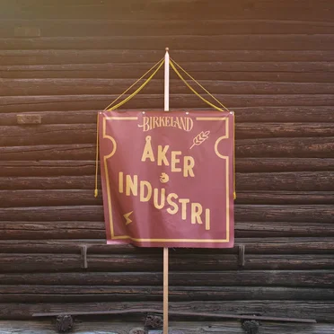 Åker og industri by Birkeland - album cover