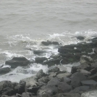 Albany State Marine Reserve