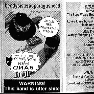 Bendysisterasparagushead by The Not Very Good Interval Band - album cover