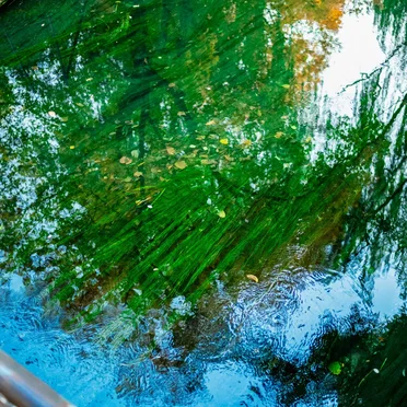 Under the Twilight Sky