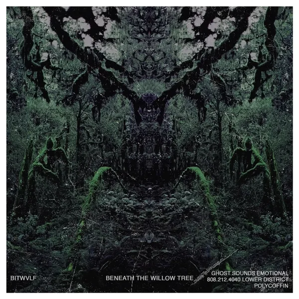 Beneath the Willow Tree