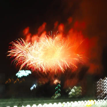 Fire Flower: 花火
