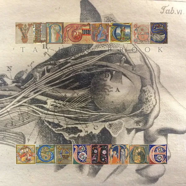 Virtutes Occultae