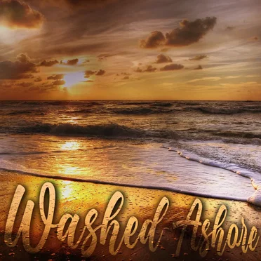 Washed Ashore