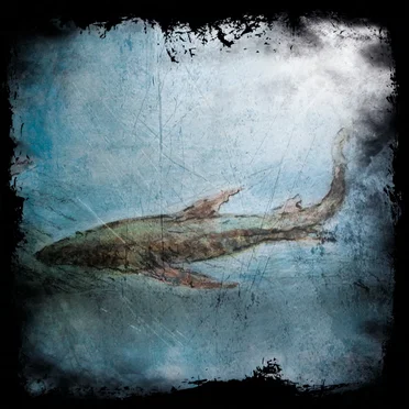 Hypnagogic Vol. 1 by Slow Wave Sleep - album cover