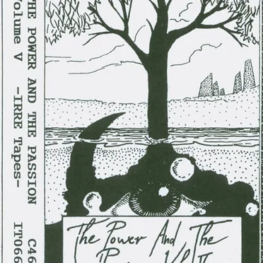 The Power and the Passion, Volume V by Various Artists - album cover