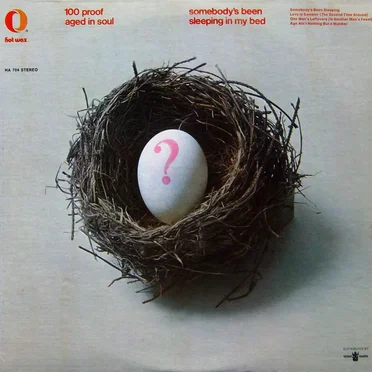 Somebody’s Been Sleeping in My Bed by 100 Proof Aged in Soul - album cover