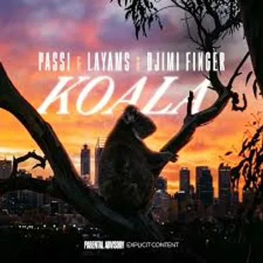 Koala
