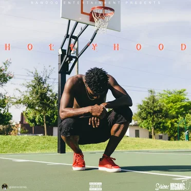 HollyHood by Surge - album cover