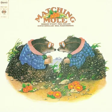 Matching Mole