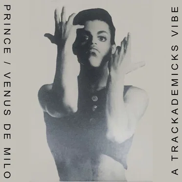 Venus de Milo (A Trackademicks Vibe)
