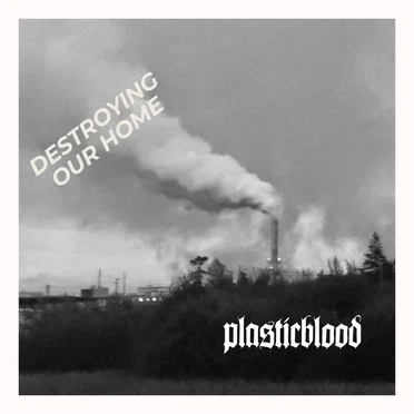 Destroying Our Home by plasticblood - album cover