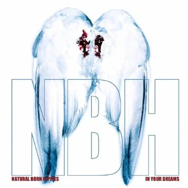 In Your Dreams by Natural Born Hippies - album cover