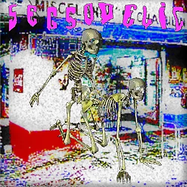 Segsodelic