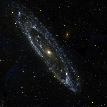 M31