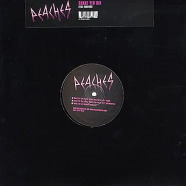 Shake Yer Dix: Tiga Remixes