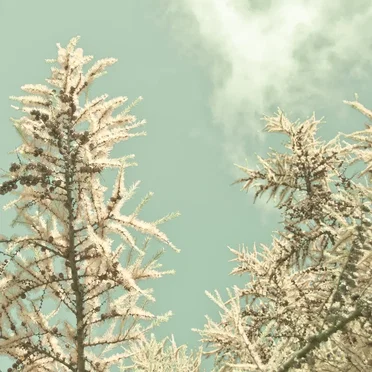 暖かな季節 (Warm Season) by Michiru Aoyama - album cover