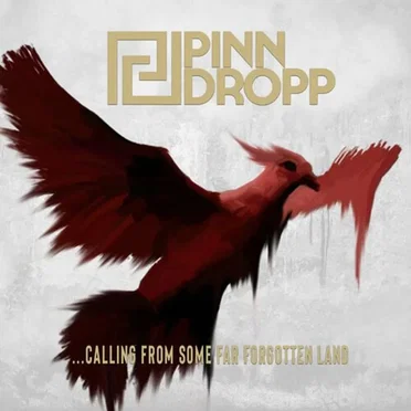 Calling from Some Far Forgotten Land by Pinn Dropp - album cover