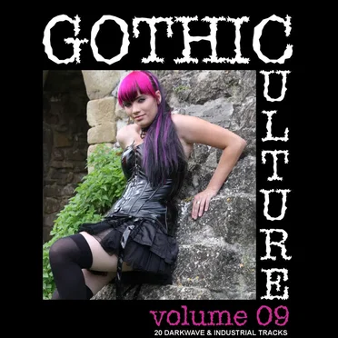 Gothic Culture, Vol. 9 - 20 Darkwave & Industrial Tracks by Various Artists - album cover