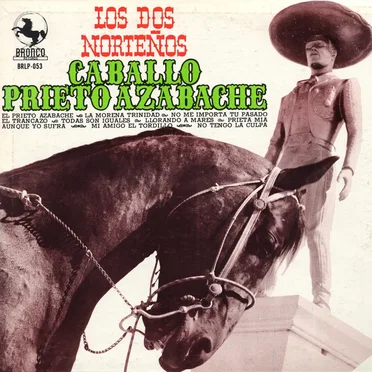 Caballo prieto azabache