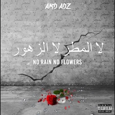 No Rain No Flowers by Ard Adz - album cover