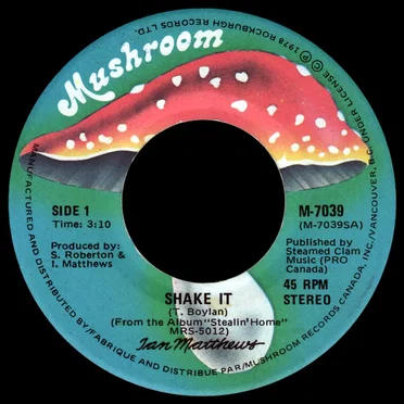 Shake It