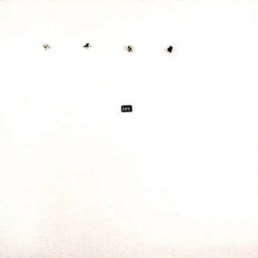 FatCat Split Series #4