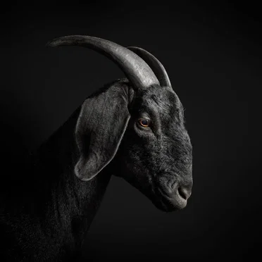 Sacrifice EP (Expanded)