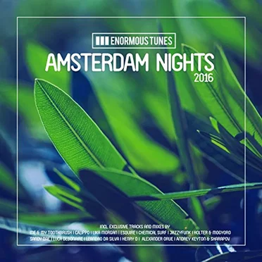 Amsterdam Nights 2016 by Various Artists - album cover
