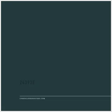 24393E by UNDISCLOSED - album cover
